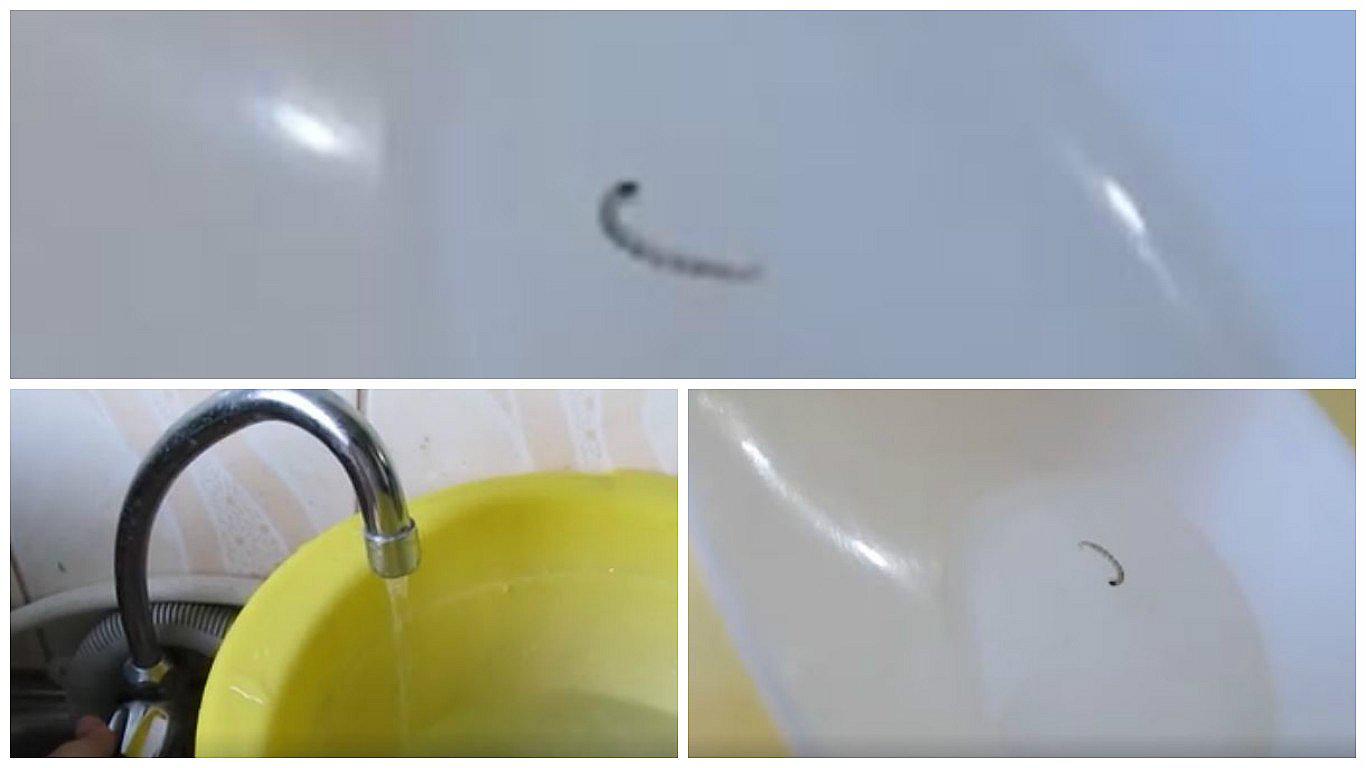 Facebook: Encuentran gusano en agua potable de Huancayo (VIDEO)