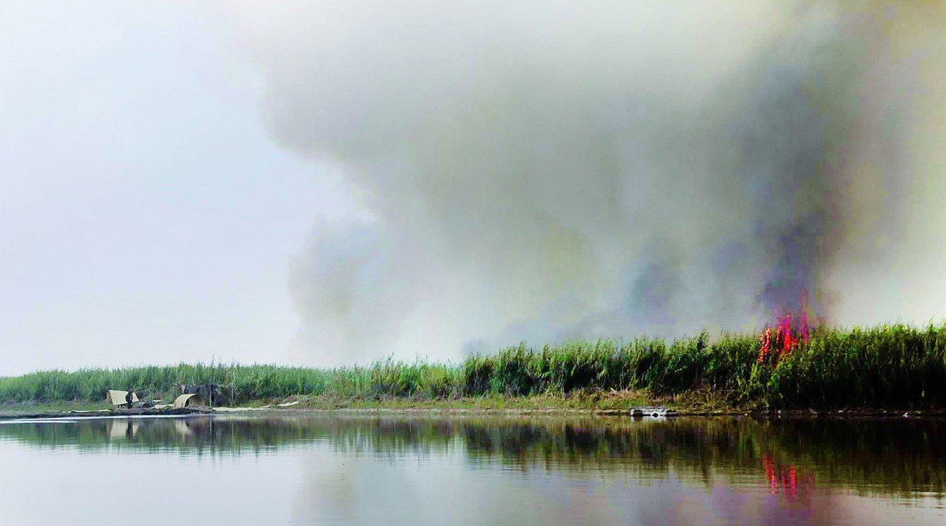 Incendio en pantano de Villa María, arrasa con 250 hectáreas de totorales y junco