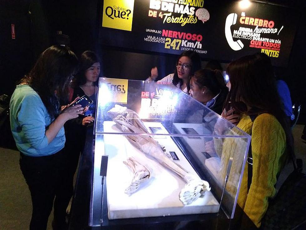 Exhibición de cuerpos reales en Arequipa (VIDEO)