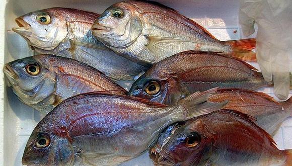 ¿Cómo evitar que el pescado se contamine en la refrigeradora?