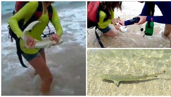 ​YouTube: quiso tomarse 'selfie' con tiburón pero recibe esta dura lección (VIDEO)