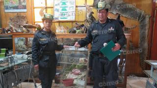 Policías rescatan loros que se exhibían en la calle (VIDEO)