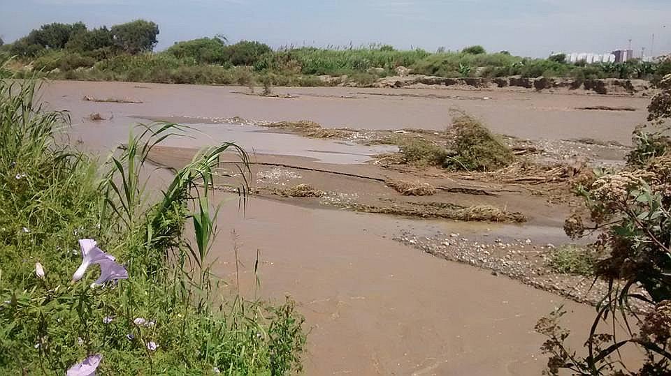 Trujillo: Río Moche se desborda y arrasa 30 hectáreas de cultivo en sector Barranca 
