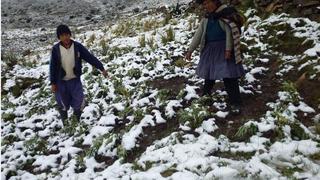 Nuevo periodo de heladas en las zonas altas de Puno