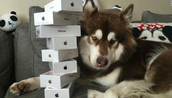 Hijo del hombre más rico de China le compra ocho iPhone 7 a su perro