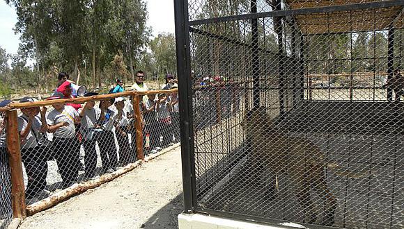 Serfor retirará animales silvestres del zoológico municipal de Tacna