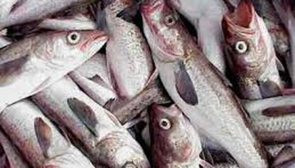 Consumo de pescado para prevenir derrames cerebrales