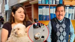 San Martín de Porres: denuncian a vecino por matar a perrito a palazos y maltratar a otros