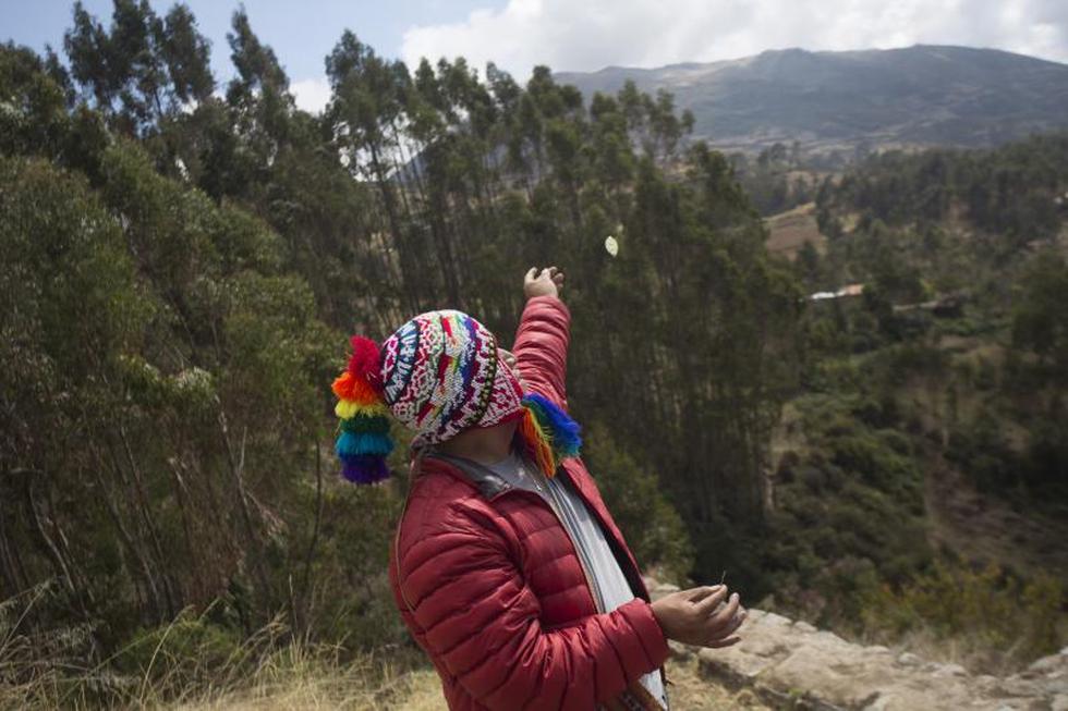 ¿Cómo se realiza un pago a la tierra?