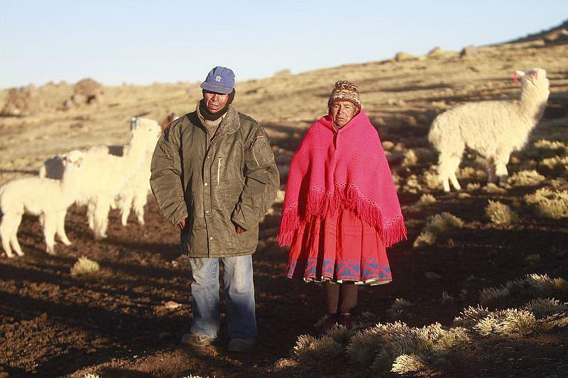 ​¡Cuidado! Temperatura desciende a 20 grados bajo cero en Arequipa