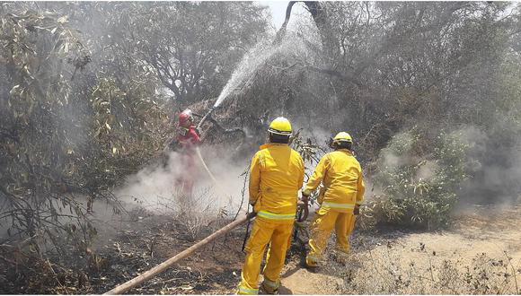 Requieren helicóptero para control de incendio forestal en Bosque de Pómac 