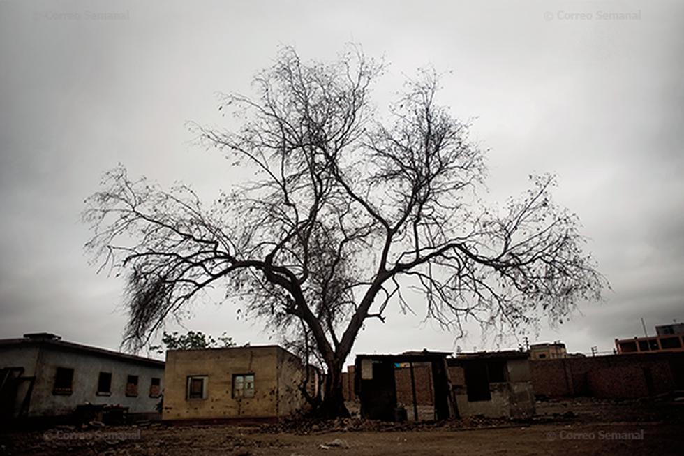 El guardián del leprosorio