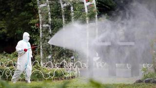 Parque de Tokio, foco de 22 casos de dengue en Japón en décadas