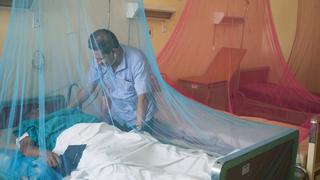 Dengue en Piura: Crónica de una enfermedad anunciada