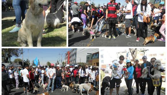 Arequipa: Más de 100 canes participaron en perrotón