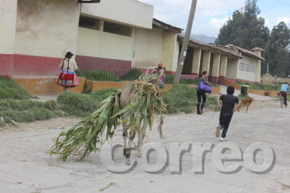 Vea la divertida carrera de burros de Semana Santa (Fotos)