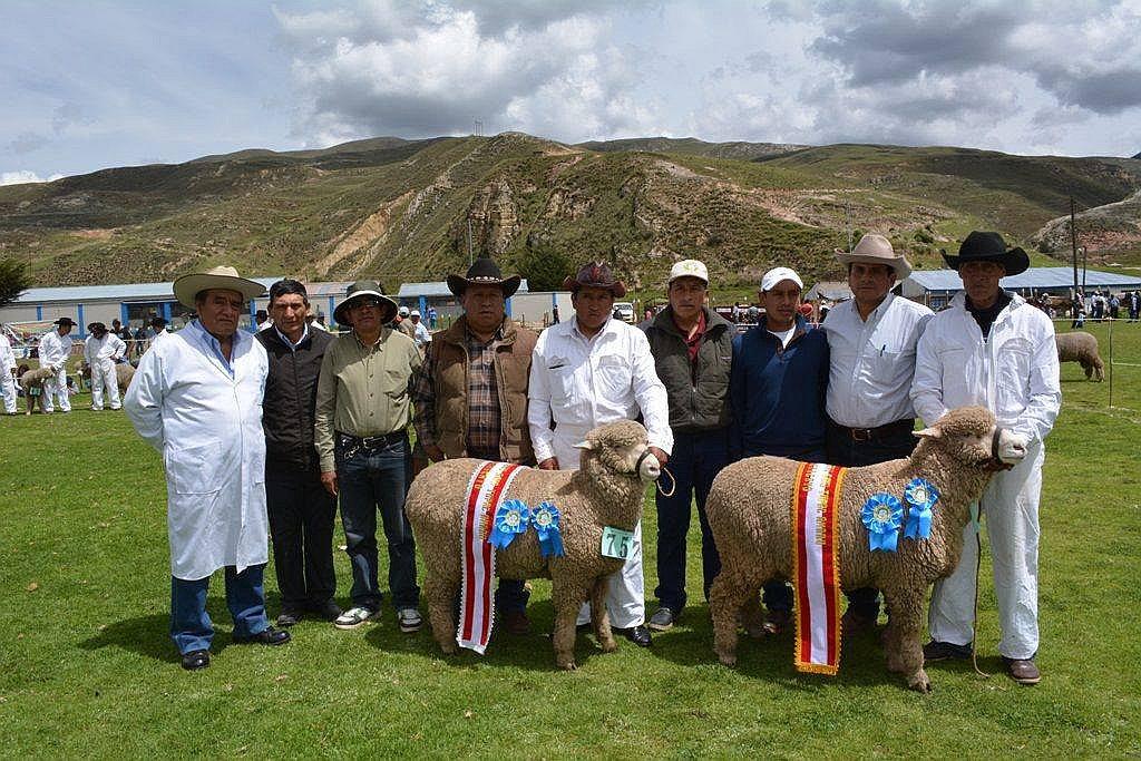 Cooperativa ganadera Sais Tupac Amaru celebra 47 años de fundación