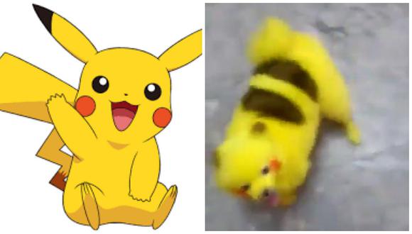 ​Pokémon Go: Fanático tiñe a su perro como Pikachú (VÍDEO)