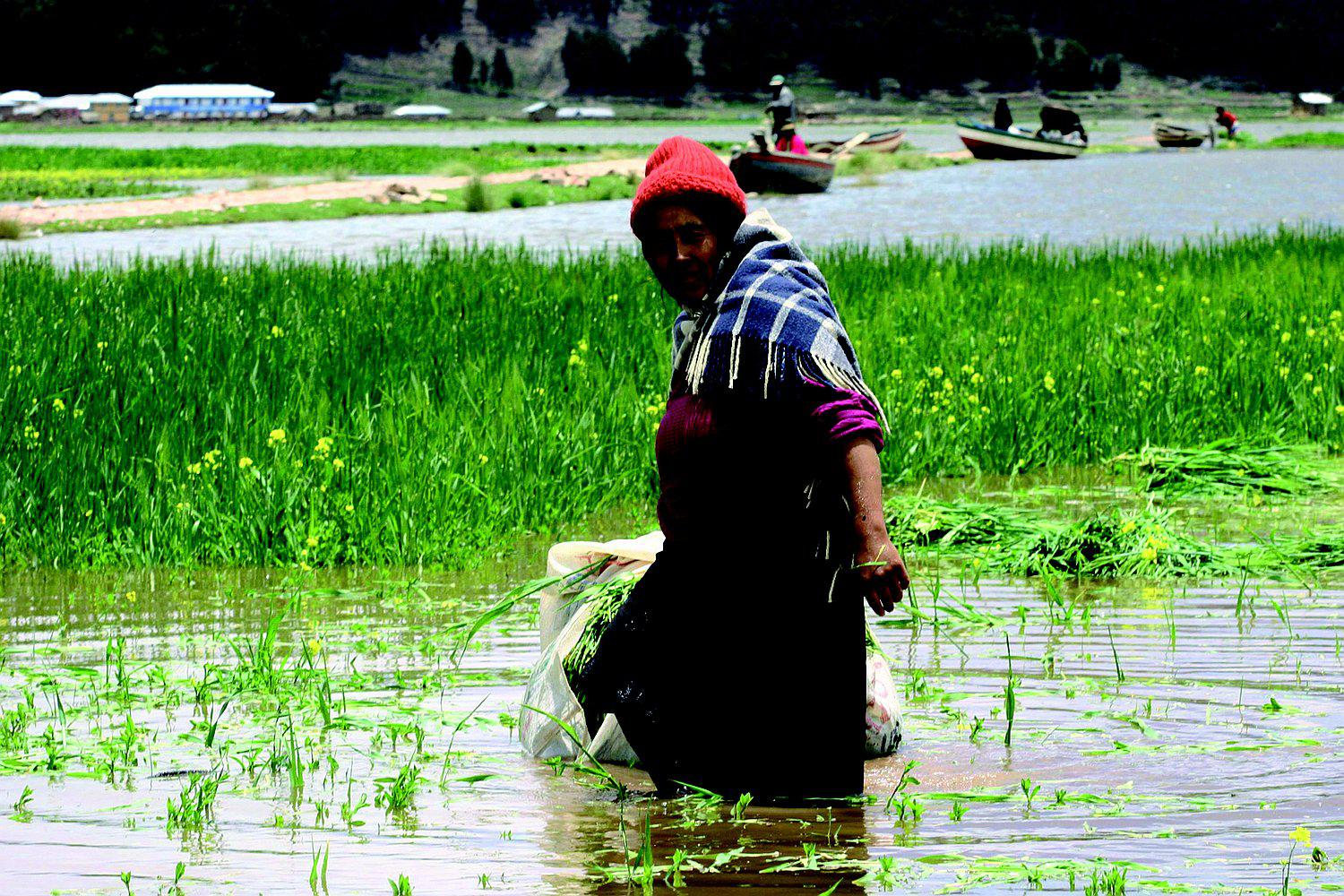 Áncash: Las lluvias intensas siguen azotando a distritos de Huaraz y Sihuas 