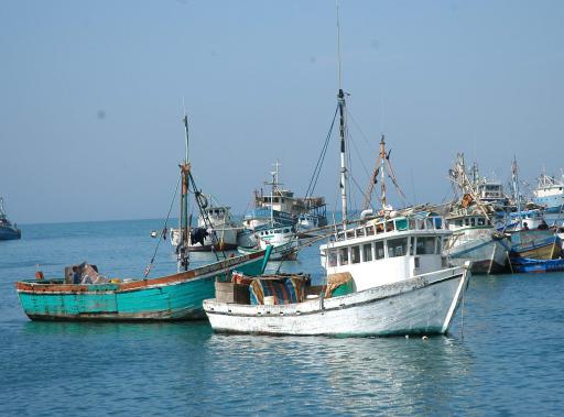 Piura: Unen fuerzas para combatir psesca ilegal en Sechura