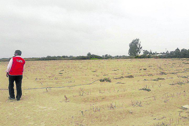 Pisco contará con un cementerio ecológico