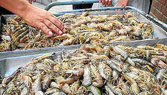 Camaná: PNP decomisa más de 500 kilos de camarón