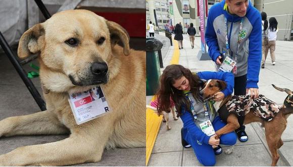 Lima  2019: conoce a los perritos “acreditados” que conviven con los atletas (FOTOS)