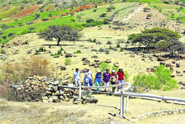 Investigan zona 6 del centro Kotosh 