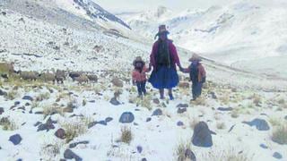 Arequipa: Zonas altoandinas de Caylloma bajo cero por heladas