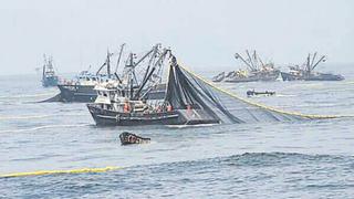 Chimbote: Pesca de anchoveta registra 34% de avance