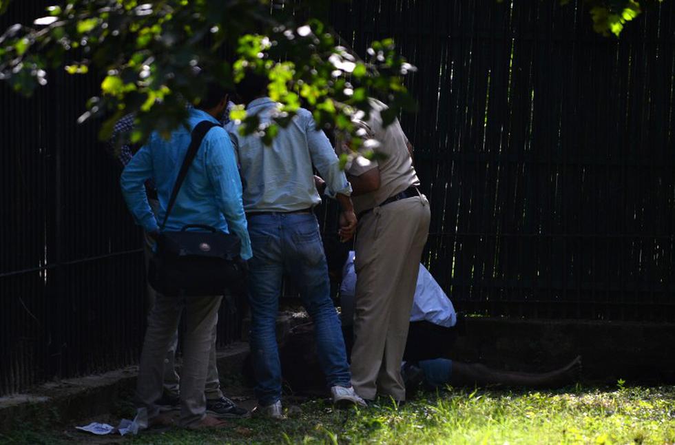 Difunden imágenes del ataque de tigre que dejó un niño muerto