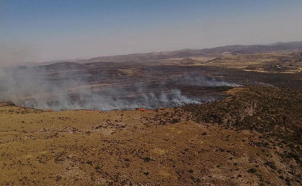Incendio llegó al Bosque de los Queñuales en el volcán Pichu Pichu (FOTOS)
