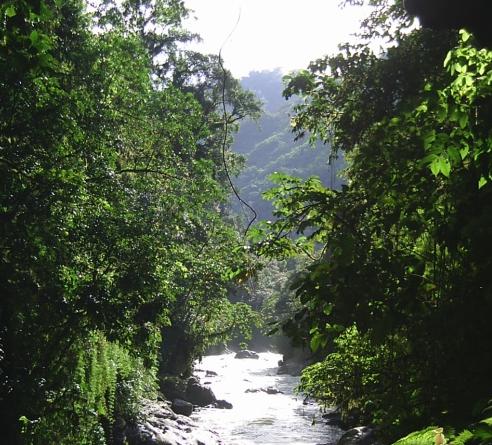 Aprueban Ley que protege a la Reserva de Biosfera Oxapampa Asháninka Yánesha