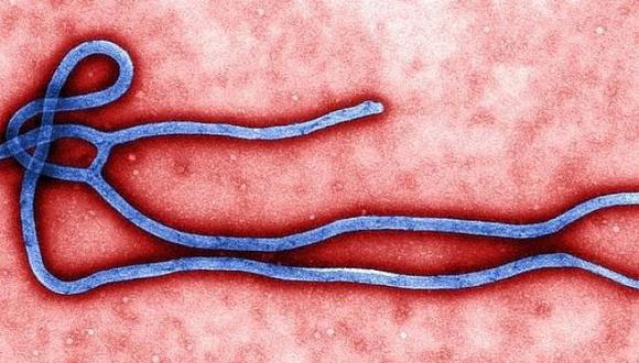 Ébola: Estudio demuestra que incrementó su diversidad genética