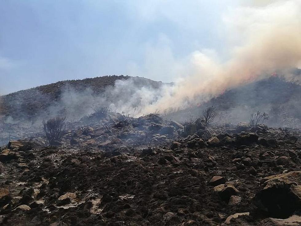 Incendio forestal entre Moquegua y Arequipa es incontrolable (VIDEO)