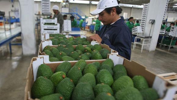 La exportación de frutas alcanzó los US$ 2,425 millones hasta julio. (Foto: GEC)