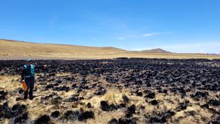 Puno: alertas por incendios forestales se duplicaron a comparación del 2021