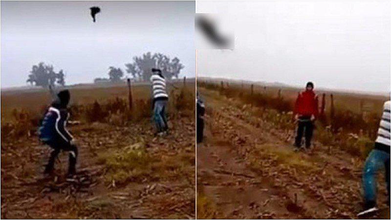 Maltrato animal: jóvenes despiadados lanzan a un perro y lo golpean como si fuera una pelota de béisbol 