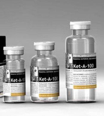 La ketamina se ha convertido en la "droga de moda " para los estudiantes.