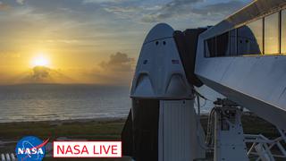 SpaceX y NASA TV EN VIVO HOY: Lanzamiento del Crew Dragon hacia la ISS