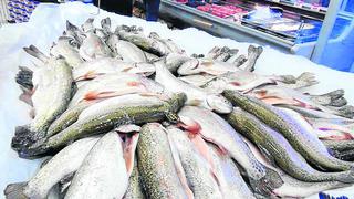 Programa ‘A comer pescado’ espera beneficiar este año a más de un millón de familias a nivel nacional 