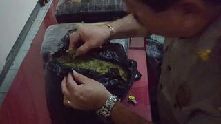 La Libertad: Intervienen a cuatro personas cuando trasladaban 30 kilos de marihuana (VIDEO)