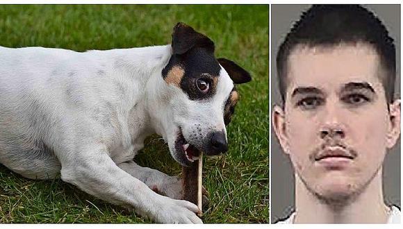Lo condenan a 9 años de cárcel por matar a perrito