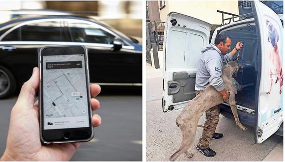 Ofrecen "Uber" para perros: Traslados al veterinario, estética, aeropuerto o puentes internacionales
