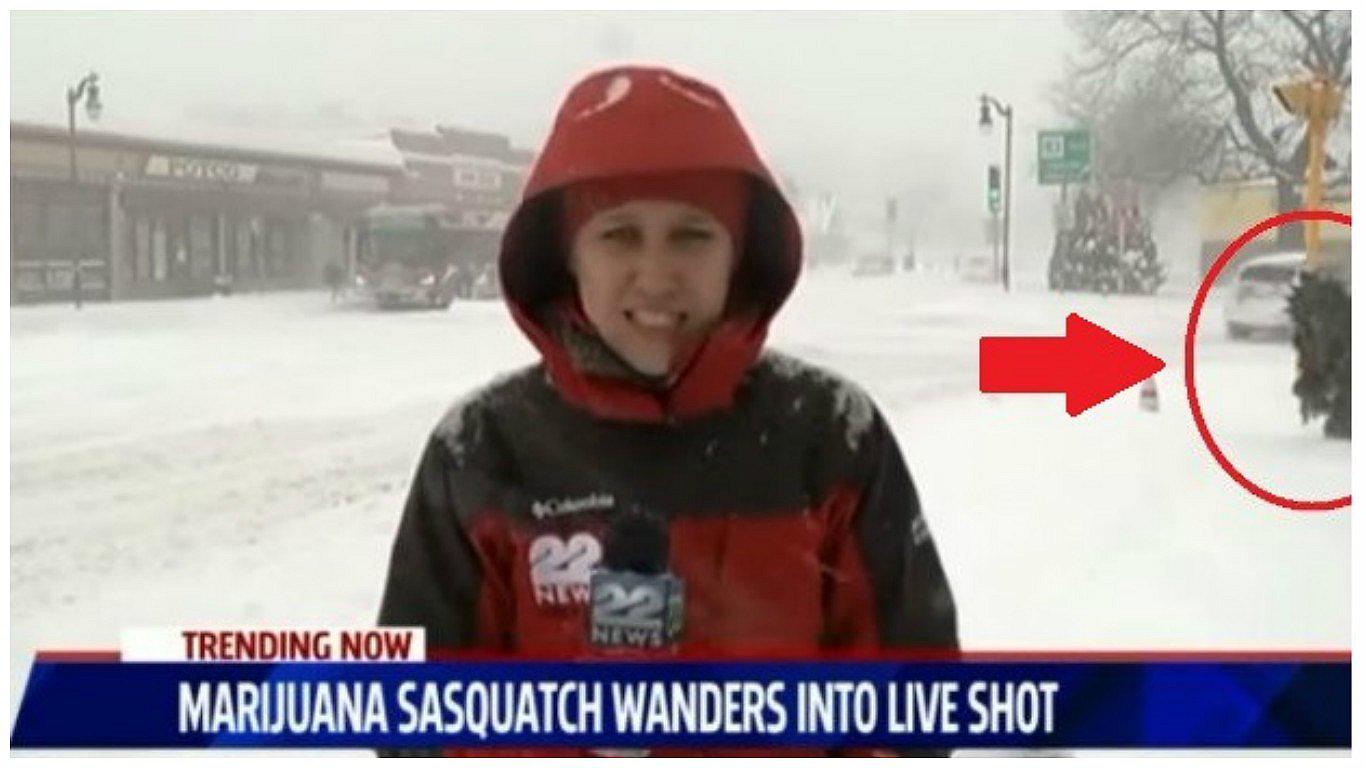 ​YouTube: extraña figura apareció durante enlace en vivo y periodistas hicieron esto