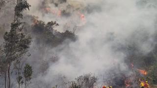 Incendio forestal en Machu Picchu consumió más de 40 hectáreas en el sector de Llamakancha
