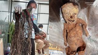 Incautan cabezas humanas momificadas y miles de restos prehispánicos en Cusco (VIDEO)