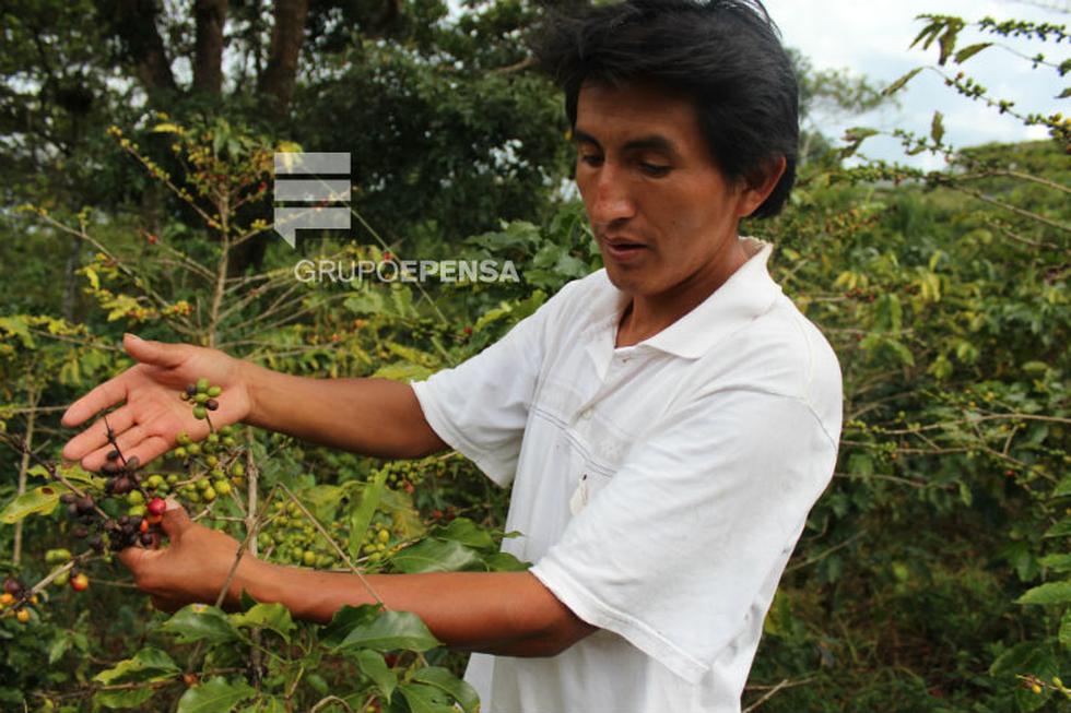 Cafetaleros marchan a Lima para exigir ayuda contra plaga