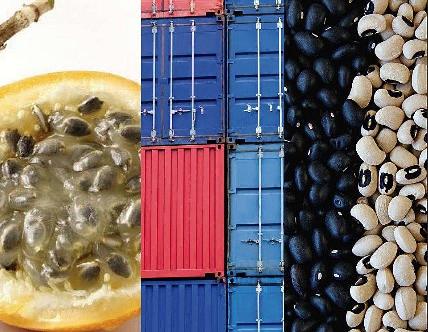 Granadillas, arándanos, sacha inchi y granos andinos tienen nuevos estándares de calidad