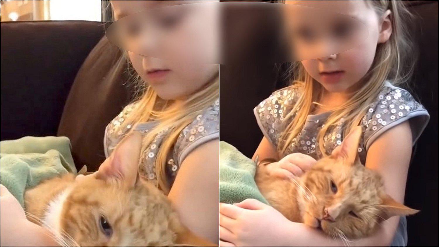 Niña cantándole por última vez a su gatito de 14 años causa tristeza en YouTube (VIDEO)